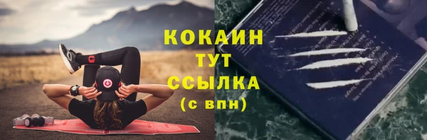 прущие крисы Горняк