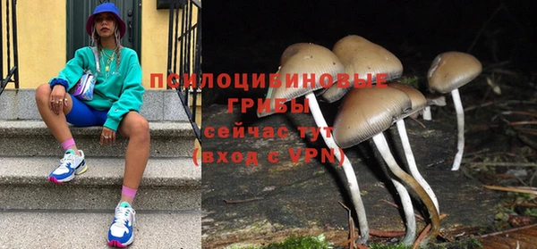 Альфа ПВП Вязьма